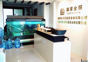 中融财富科技信息咨询诚聘客服精英 30个机会，邀您共创科技咨询未来